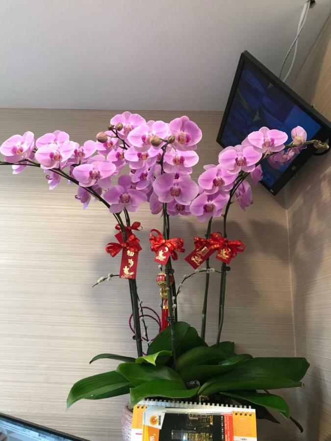 Vve Vve Hotel Hongkong Kültér fotó